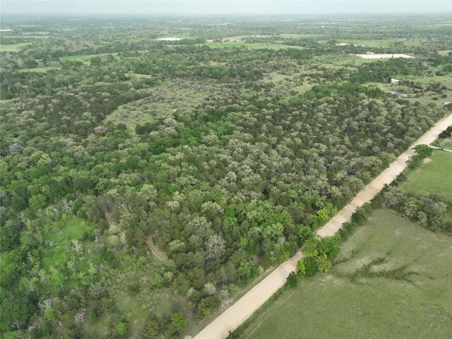 TBD(43.65Acres) County Road 126, Caldwell, TX 77836 - photo 22