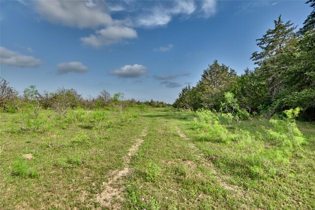 TBD(43.65Acres) County Road 126, Caldwell, TX 77836 - photo 24