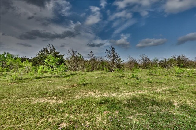 TBD(43.65Acres) County Road 126, Caldwell, TX 77836 - photo 25