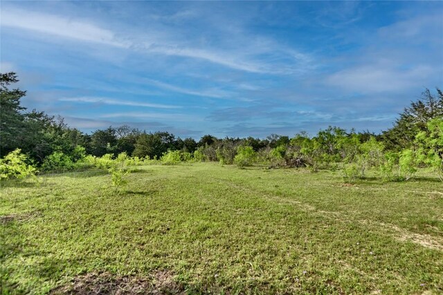 TBD(43.65Acres) County Road 126, Caldwell, TX 77836 - photo 26