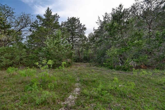 TBD(43.65Acres) County Road 126, Caldwell, TX 77836 - photo 27