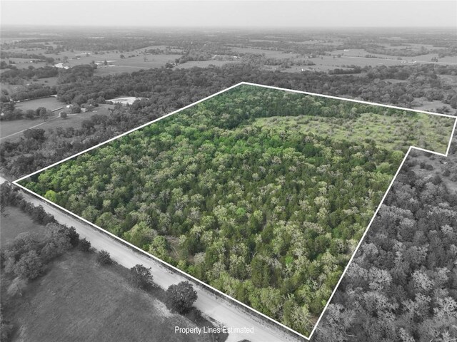 TBD(43.65Acres) County Road 126, Caldwell, TX 77836 - photo 28
