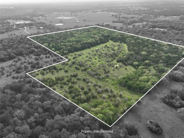 TBD(43.65Acres) County Road 126, Caldwell, TX 77836 - photo 8