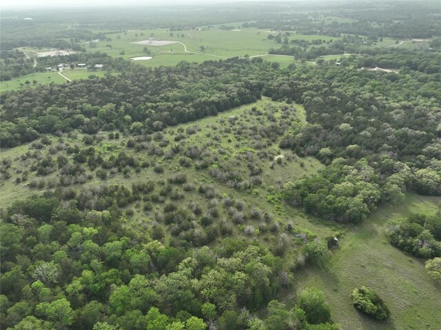 TBD(43.65Acres) County Road 126, Caldwell, TX 77836 - photo 9