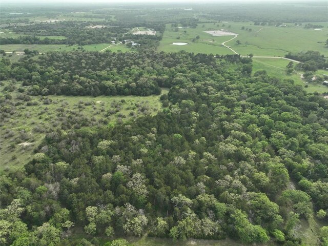 TBD(43.65Acres) County Road 126, Caldwell, TX 77836 - photo 10
