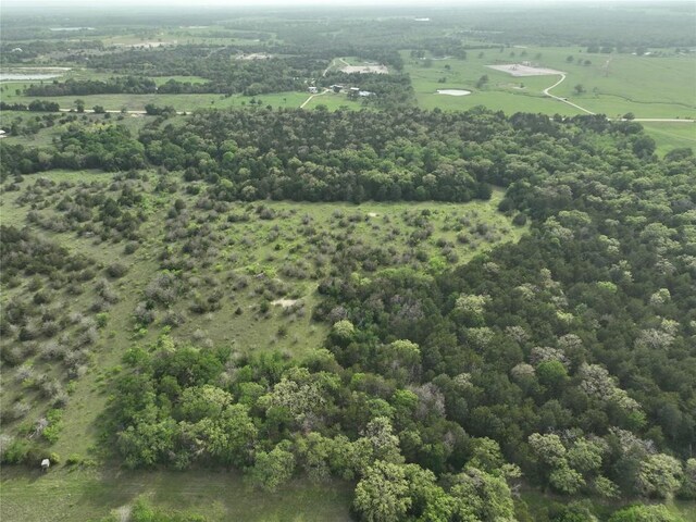 TBD(43.65Acres) County Road 126, Caldwell, TX 77836 - photo 11