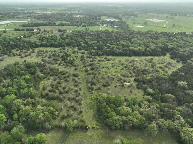 TBD(43.65Acres) County Road 126, Caldwell, TX 77836 - photo 12