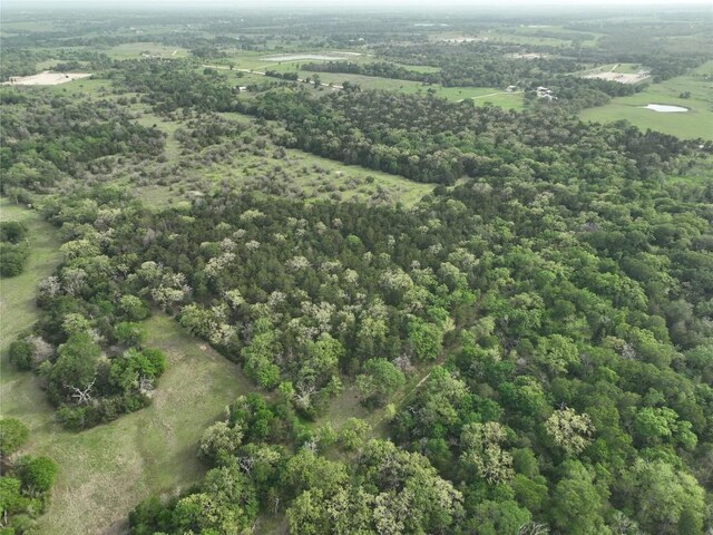 TBD(43.65Acres) County Road 126, Caldwell, TX 77836 - photo 14