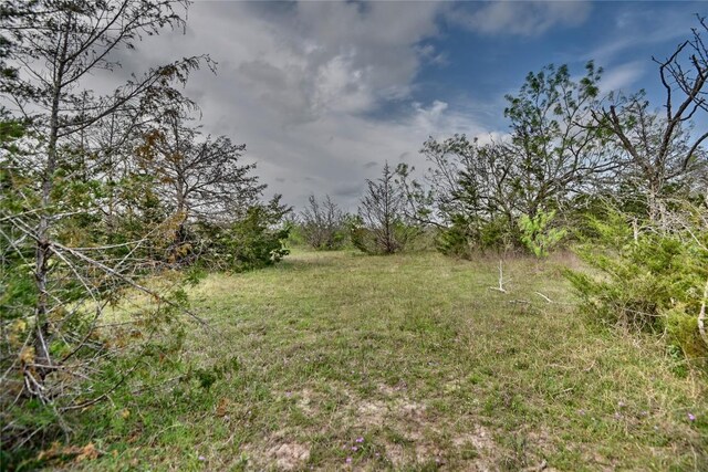 TBD(43.65Acres) County Road 126, Caldwell, TX 77836 - photo 3