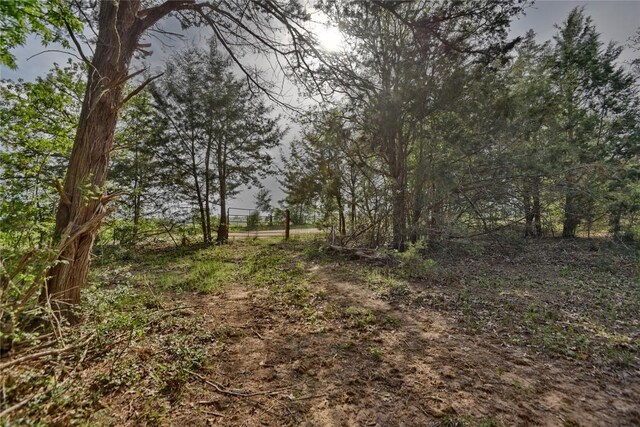 TBD(43.65Acres) County Road 126, Caldwell, TX 77836 - photo 5