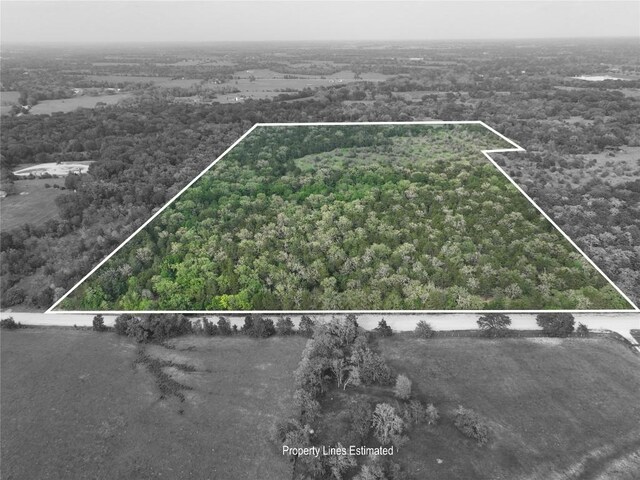 TBD(43.65Acres) County Road 126, Caldwell, TX 77836 - photo 7