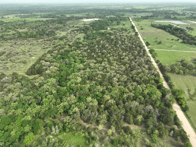 TBD(43.65Acres) County Road 126, Caldwell, TX 77836 - photo 15
