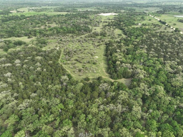 TBD(43.65Acres) County Road 126, Caldwell, TX 77836 - photo 16