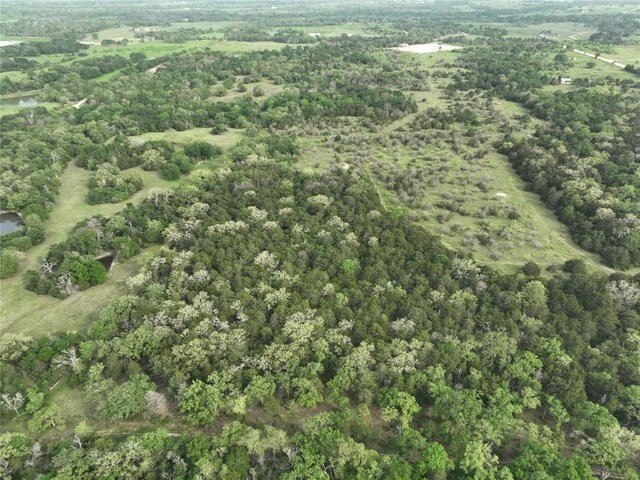 TBD(43.65Acres) County Road 126, Caldwell, TX 77836 - photo 17