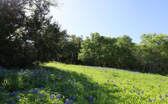 10214 Bilbrook Pl, Austin, TX 78748 - photo 35