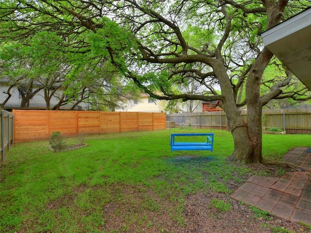 8411 Glen Canyon Dr, Round Rock, TX 78681 - view of yard
