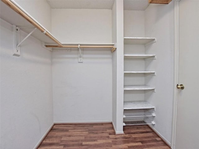 8411 Glen Canyon Dr, Round Rock, TX 78681 - walk in closet with wood finished floors