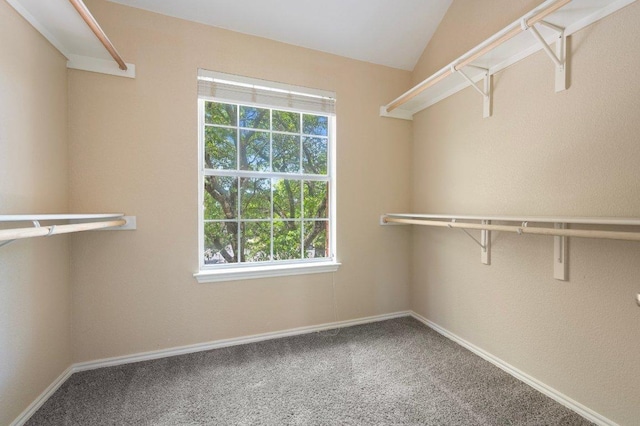 13321 Kirkglen Dr, Austin, TX 78727 - spacious closet featuring carpet