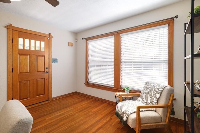 entryway with wood finished floors, a healthy amount of sunlight, and baseboards