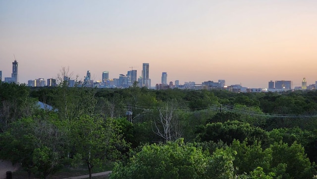 1320 Robert Browning St Unit 409, Austin, TX 78723 - view of city skyline