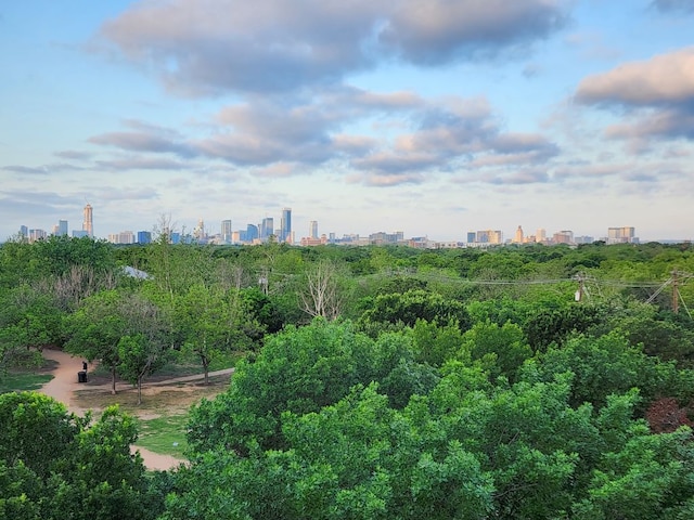 1320 Robert Browning St Unit 409, Austin, TX 78723 - view of city skyline