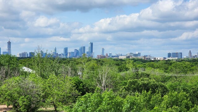 1320 Robert Browning St Unit 409, Austin, TX 78723 - view of city skyline