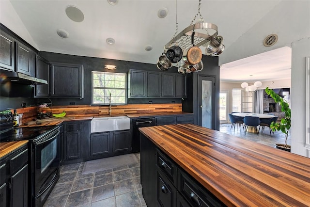 358 Easley Rd, Smithville, TX 78957 - kitchen featuring electric range, dark cabinets, butcher block countertops, and a sink