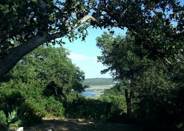 18201 Gregg Bluff Rd, Jonestown, TX 78645 - water view