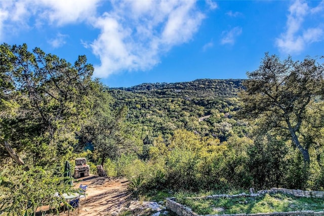 18201 Gregg Bluff Rd, Jonestown, TX 78645 - mountain view featuring a forest