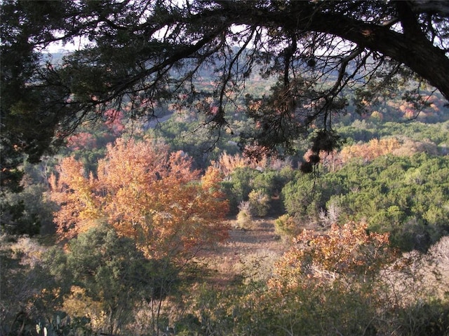 18201 Gregg Bluff Rd, Jonestown, TX 78645 - view of tree filled area