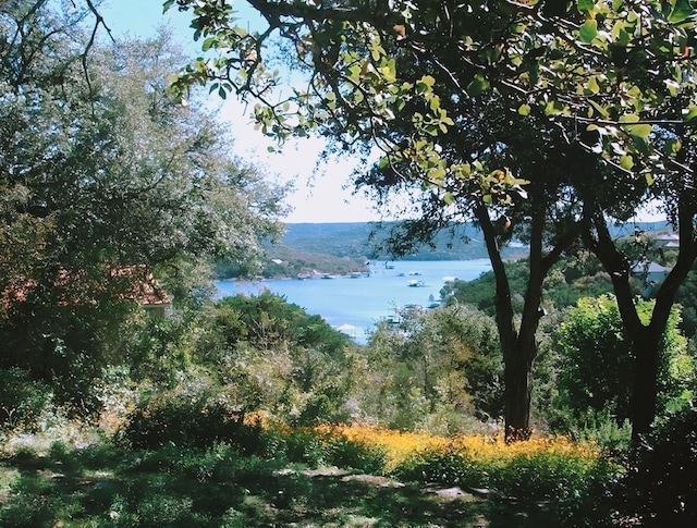 18201 Gregg Bluff Rd, Jonestown, TX 78645 - water view