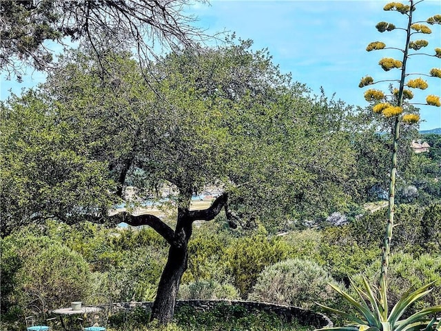 exterior details featuring a forest view