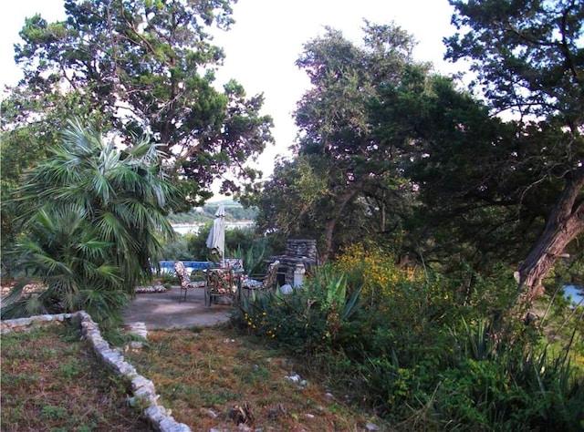 view of yard with a patio