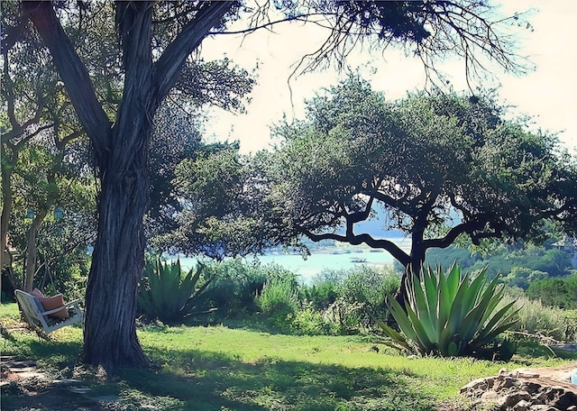 view of landscape
