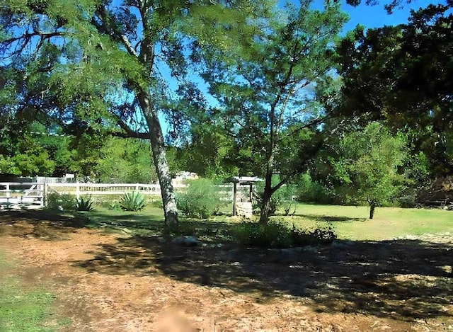 18201 Gregg Bluff Rd, Jonestown, TX 78645 - view of yard