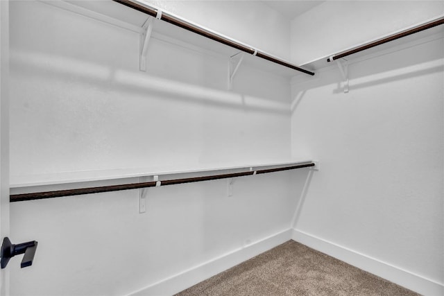 2616 War Wagon Way, Leander, TX 78641 - spacious closet with carpet