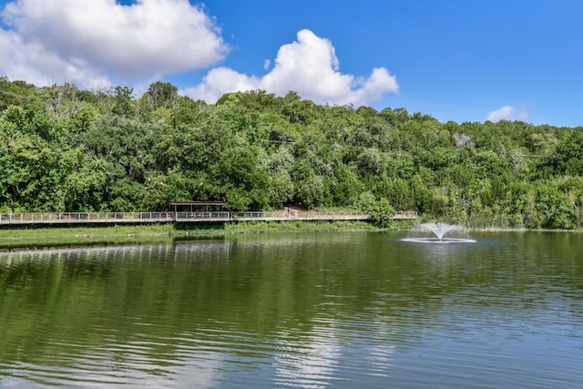 10012 Scull Creek Dr, Austin, TX 78730 - water view featuring a forest