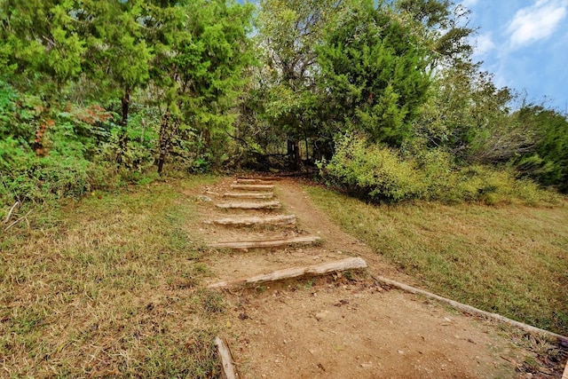 10012 Scull Creek Dr, Austin, TX 78730 - view of yard