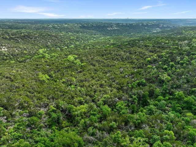 10012 Scull Creek Dr, Austin, TX 78730 - bird's eye view of a heavily wooded area