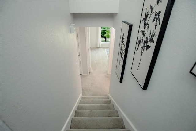 1908 Trevino Dr, Austin, TX 78746 - stairway with carpet floors and baseboards
