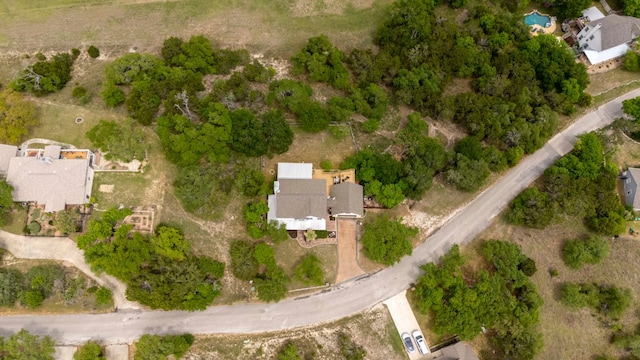 45 Saddle Rock Rdg, Wimberley, TX 78676 - birds eye view of property