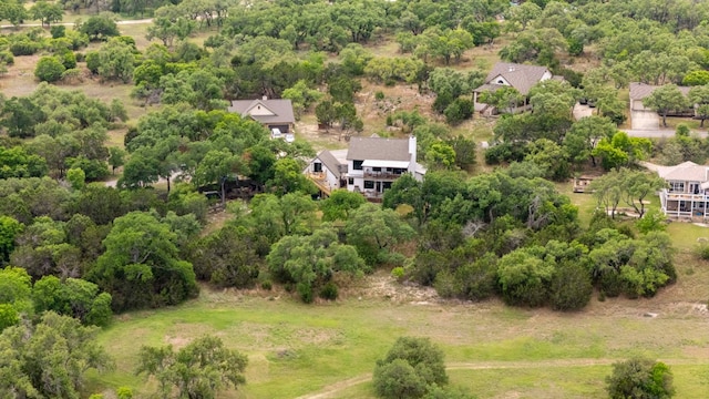 45 Saddle Rock Rdg, Wimberley, TX 78676 - aerial view