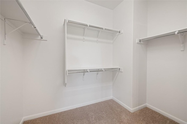 504 Deer Meadow Cir, Georgetown, TX 78633 - spacious closet featuring carpet floors