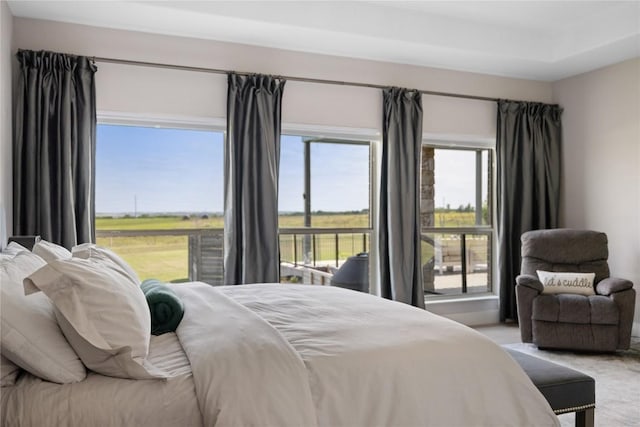 carpeted bedroom with multiple windows