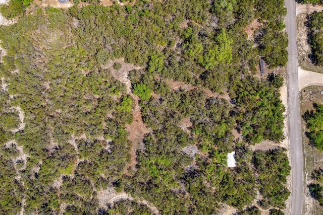701 Plant Lady Ln, Dripping Springs, TX 78620