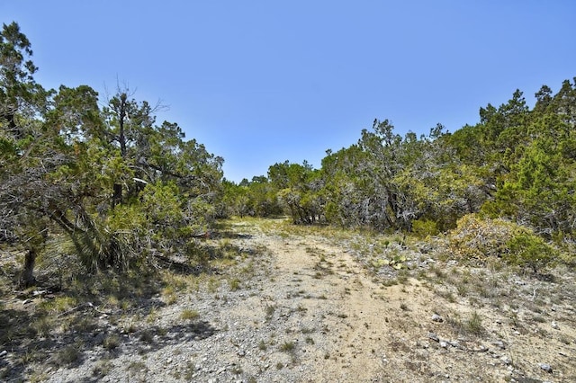 701 Plant Lady Ln, Dripping Springs, TX 78620