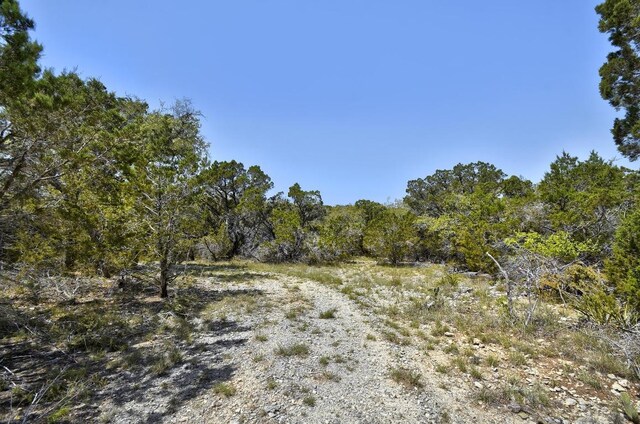 701 Plant Lady Ln, Dripping Springs, TX 78620