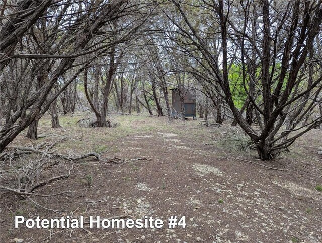 701 Plant Lady Ln, Dripping Springs, TX 78620