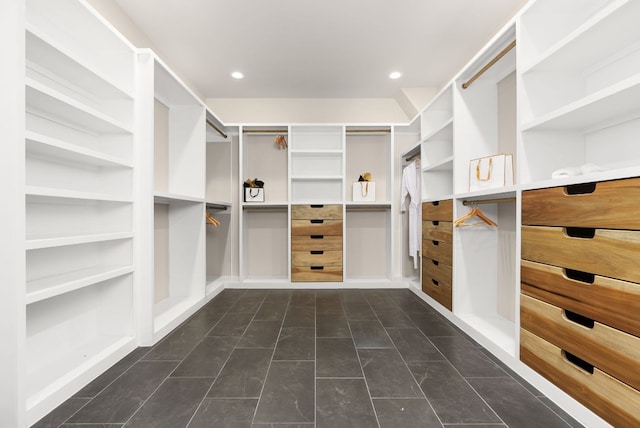347 Stars And Stripes, Fischer, TX 78623 - view of walk in closet