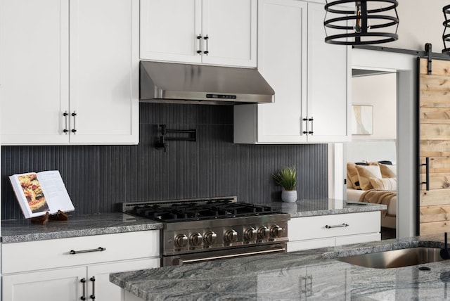 347 Stars And Stripes, Fischer, TX 78623 - kitchen with under cabinet range hood, high end stainless steel range oven, and white cabinets
